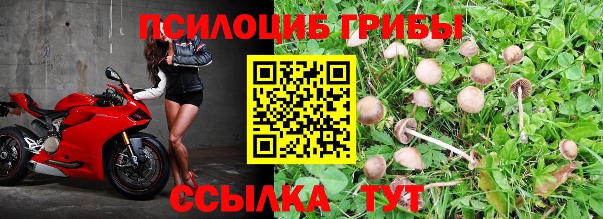 Губаха  Псилоцибиновые грибы ЛСД  Вход с VPN 
