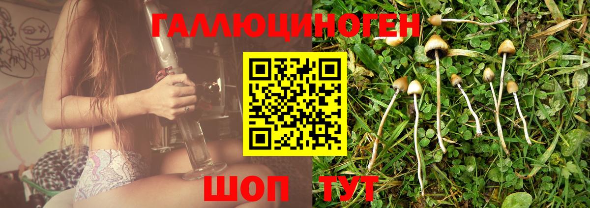 Псилоцибиновые грибы прущие грибы Губаха